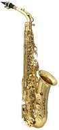 Victory VAS Student 02 Altp Sax - Saxophone
