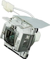 Viewsonic RLC-058 SPARE LAMP F/ PJD5211 PJD5221 - Ersatzlampe