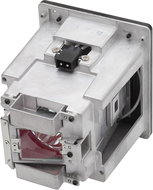 Viewsonic REPLACEMENT LAMP FOR PRO10100 2 POINT TOUCH/5MS/ 200 NITS - Ersatzlampe