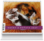 Vikpap Cats and Kittens 2027, 17.5 × 14cm - Desk Calendar