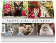 Vikpap Cats and Kittens 2027, 22 × 14.8cm - Desk Calendar