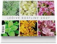 Vikpap Medicinal Plants 2027, 22 × 14.8 cm - Desk Calendar