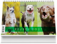 Vikpap Dogs 2027, 22 × 14.8cm - Desk Calendar