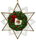 Decoration from the Christmas Classics 2024 Collection Star