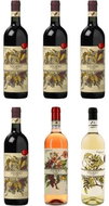 CARPINETO Dogajolo Toscano 5+1 FREE Set of Wines - Wine