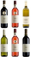 J. STÁVEK mix 6x 0,75l set of wines - Wine