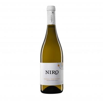 CODICE CITRA Linea Niro - Passerina IGP Terra di Chieti 2018 0,75l - Wine - Main image