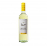 CODICE CITRA Pinot Grigio Terre di Chieti 2020 0,75l - Wine
