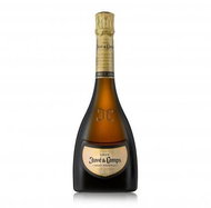 J&C Gran Juvé & Camps 0,75l 12% - Sparkling Wine