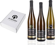 ZD Němčičky Collection TOP Batonnage Moravian wine 3 ×0,75l set of wines - Wine