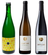 Spalek selection of sommelier 3x 0,75 set of wines - Wine