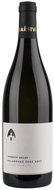 VINAŘSTVÍ VÁCLAV Pinot Gris 2017, 750ml - Wine
