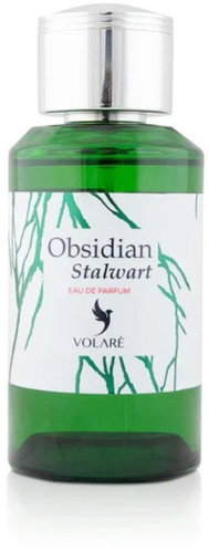 Volare - OBSIDIAN STALWART, 100 ml - Eau de Parfum - Main image