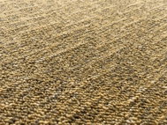 Kusový koberec Alassio zlatohnědá 120 x 170 cm - Carpet