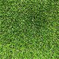 Travní koberec Bermuda 200 x 300 cm - Szőnyeg