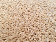 Kusový koberec Color shaggy béžový 200 x 300 cm - Carpet
