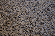 Kusový koberec Color shaggy šedý 160 x 240 cm - Carpet