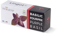 Véritable Lingot Fialová bazalka - BIO - Sazenice