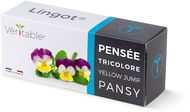 Véritable Lingot Maceška - BIO - Sazenice