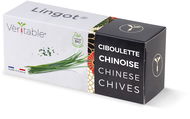 Véritable Lingot Čínská pažitka - BIO     - Sazenice