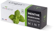 Véritable Lingot Moroccan mint - BIO - Seedling Planter