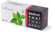 Véritable Lingot Thajská bazalka - BIO - Sazenice