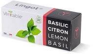 Véritable Lingot Citronová bazalka - BIO - Sazenice