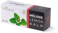 Véritable Lingot Meduňka lékařská - BIO - Sazenice