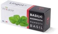 Véritable Lingot Mammoth Basil - Seedling Planter
