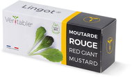 Véritable Lingot Red leaf mustard - BIO - Seedling Planter