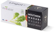Véritable Lingot Wasabi mustard - BIO - Seedling Planter