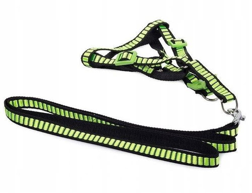 Verk 19128 Nylon with leash 128 × 1,5 cm green - Harness - Main image
