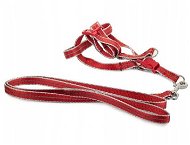 Verk 19121 Nylon with leash 125 × 2,5 cm red - Harness
