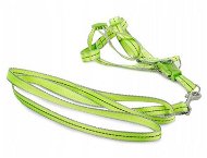Verk 19121 Nylon with leash 125 × 2,5 cm green - Harness