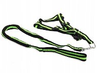 Verk 19115 Nylon with leash 200 × 2.5 cm green - Harness