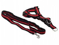 Verk 19115 Nylon with leash 200 × 2.5 cm red - Harness