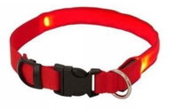 KIK Led luminous L red - Collar