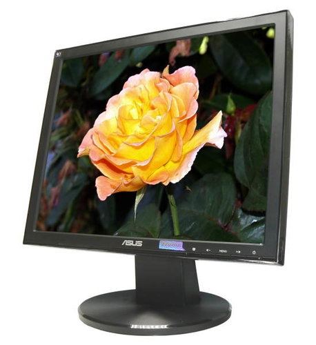 17" ASUS VB171D-B Main image 17" ASUS VB171D-B - LCD Monitor - Main image
