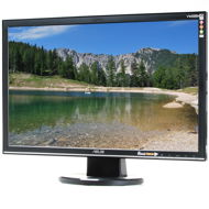 22" ASUS VW225N - LCD monitor