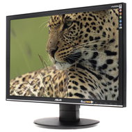 LCD panel ASUS VW225NL - LCD Monitor