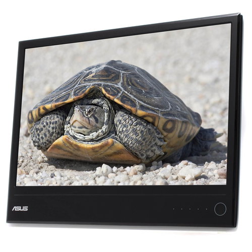 ASUS MS227N Main image ASUS MS227N - LCD Monitor - Main image