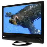 22" ASUS ML228H LED - LCD Monitor
