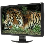 24" GIGABYTE Envision G2461W - LCD monitor