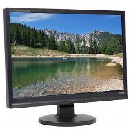 19" iiyama ProLite E1908WS černý - LCD monitor