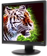 19" iiyama ProLite B1906S-B Black - LCD Monitor