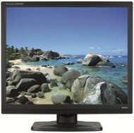 19" iiyama ProLite E1980SD - LCD monitor
