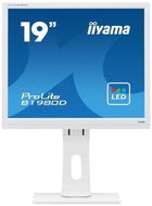 19" iiyama ProLite B1980D-W1 - LCD Monitor