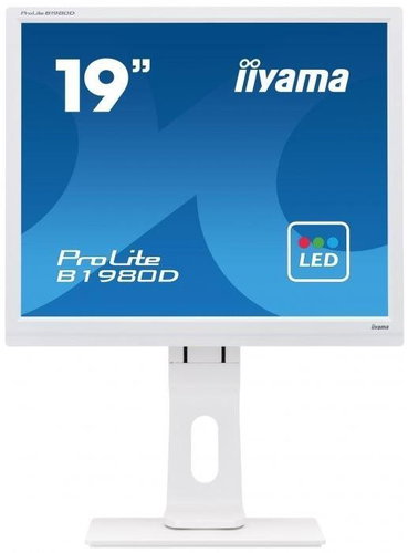 19" iiyama ProLite B1980D-W1 - LCD Monitor - Main image