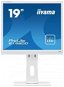 19" iiyama ProLite B1980D-W1 - LCD monitor