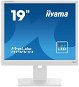 19" iiyama ProLite B1980D-W5 - LCD monitor